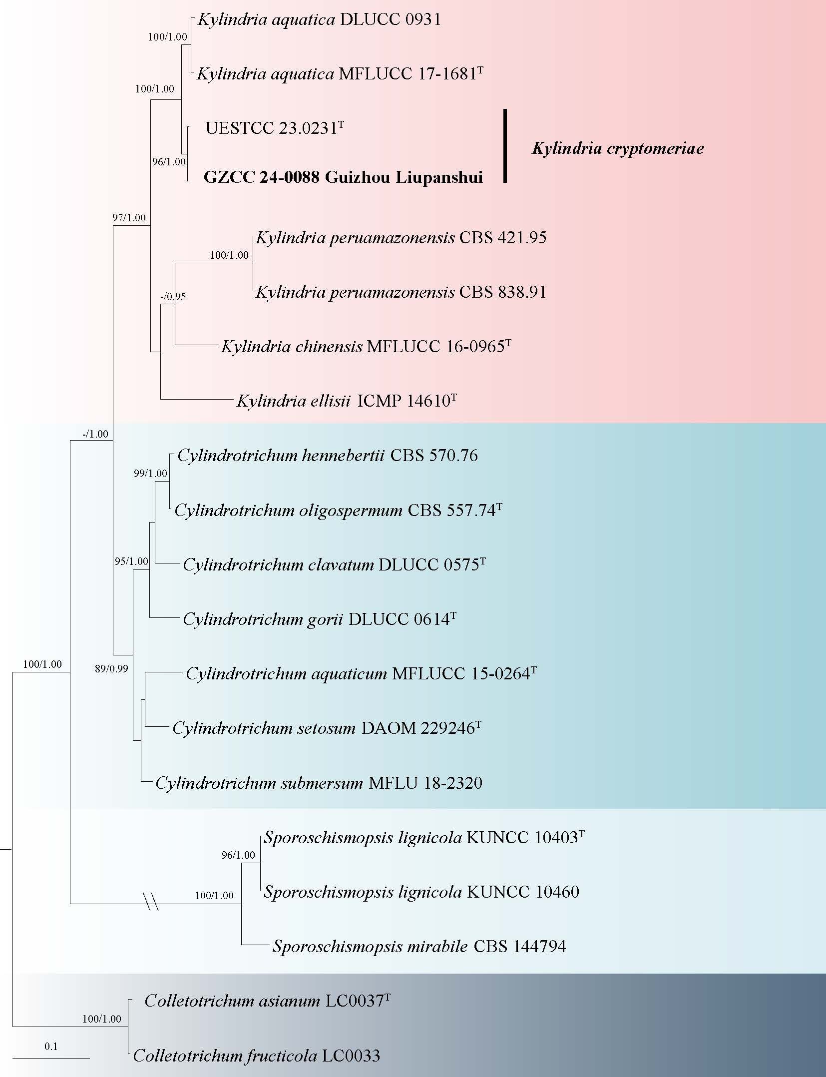 Figure 43